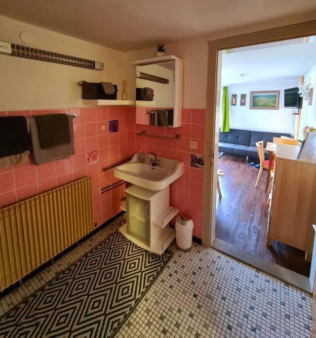 Idyllische Kleine Ferienwohnung Im Schwarzwald Friedenweiler 外观 照片