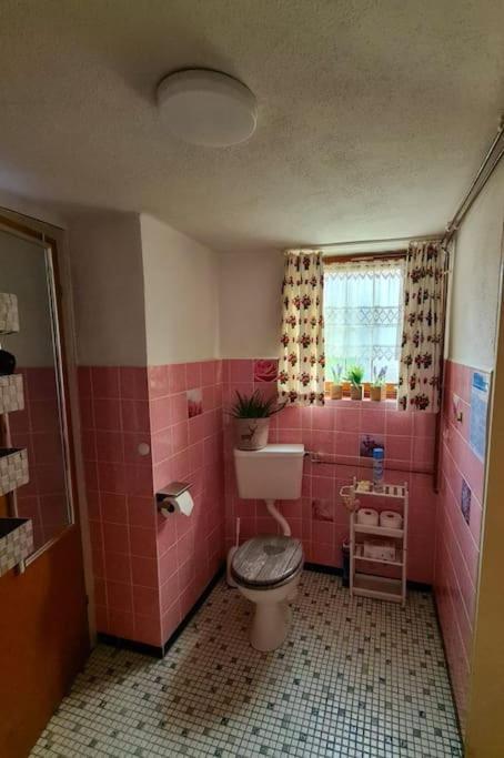 Idyllische Kleine Ferienwohnung Im Schwarzwald Friedenweiler 外观 照片