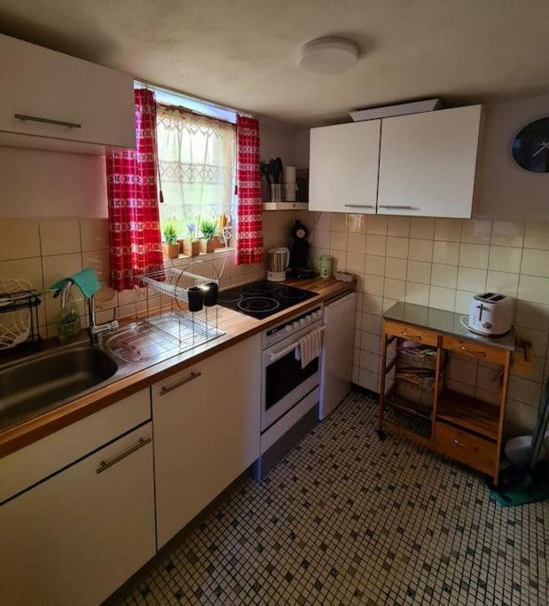 Idyllische Kleine Ferienwohnung Im Schwarzwald Friedenweiler 外观 照片